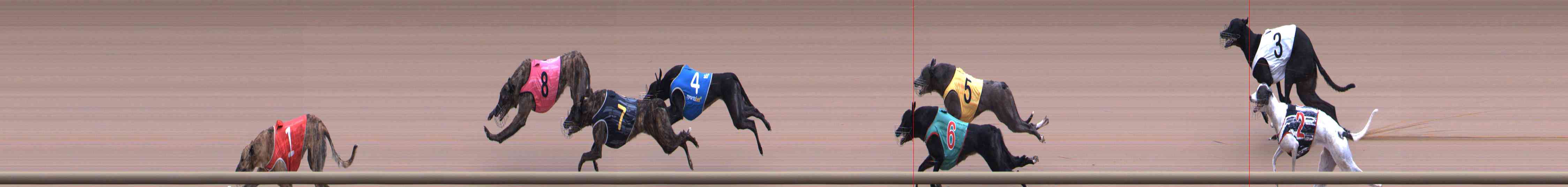 Race result finish photo